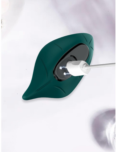 Leavess Green, 9 vibration functions