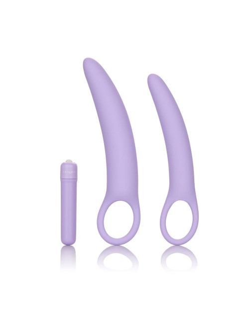 Isabelle Set of 2 Dilators Purple
