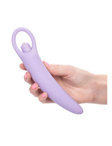 Isabelle Set of 2 Dilators Purple
