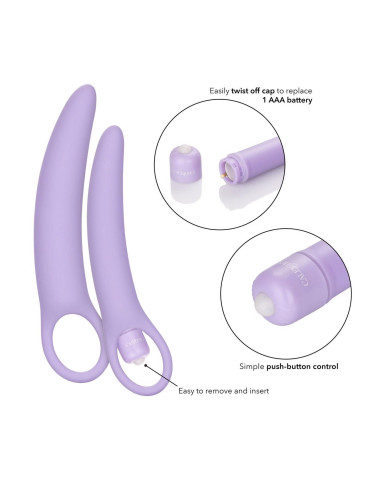 Isabelle Set of 2 Dilators Purple