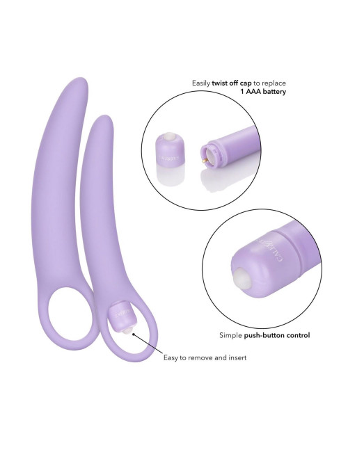 Isabelle Set of 2 Dilators Purple